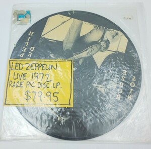 レコード ☆LED ZEPPELIN RIOT HOUSE LIVE 1972 RARE PIC DISC LP☆ピクチャーレコード ピクチャーディスク仕様アナログレコード