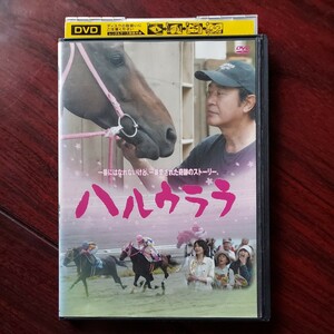 【送料180円~】ハルウララ★渡瀬恒彦　 賀来千香子　武豊★レンタル落ちDVD　視聴確認済み