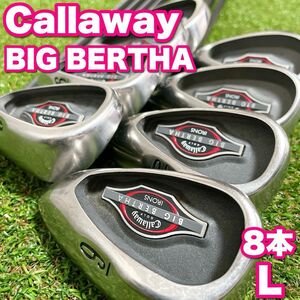 超豪華 Callaway BIG BERTHA キャロウェイ ビッグバーサ レディースゴルフクラブ アイアン 8本セット 女性