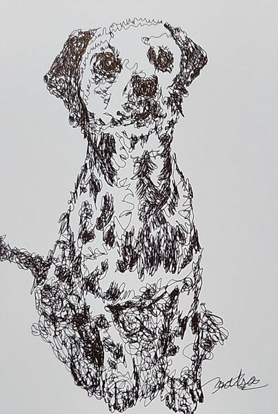 『ダルメシアン』一筆書き。ボールペン画【1】。絵画。犬。ポストカード。
