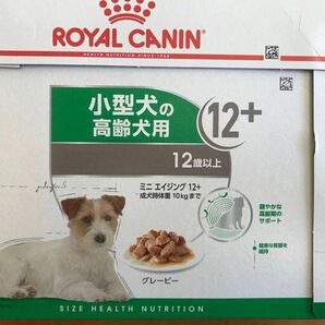 【おまけ倍増:おまけ付き】ロイヤルカナンウェットフード ミニエイジング12+ 高齢犬用 12歳以上 犬 85g×12袋その③）