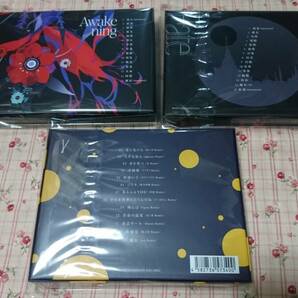花譜 狂想γ V.W.P 運命 覚醒 type KAF CD アルバム セットの画像2
