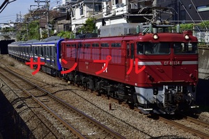 ★鉄道写真デジタル画像 No1055 【EF81 134 E235　配給輸送】