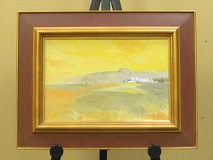 Art hand Auction [Shinan] Enmarcado Koichi Ebara Vista lejana del castillo blanco Pintura al óleo P6 Shinsaku Osaka TD097, cuadro, pintura al óleo, Naturaleza, Pintura de paisaje