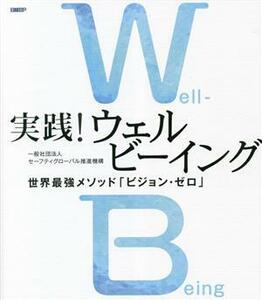 実践！ウェルビーイング 世界最強メソッド「ビジョン・ゼロ」／セーフティグローバル推進機構(著者)