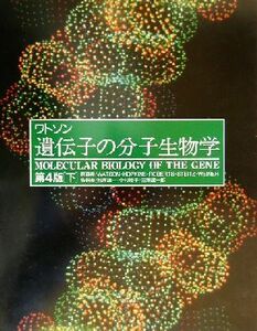 ワトソン　遺伝子の分子生物学　第２版(下)／Ｊａｍｅｓ　Ｄ．Ｗａｔｓｏｎ(著者),Ｎａｎｃｙ　Ｈ．Ｈｏｐｋｉｎｓ(著者),Ｊｅｆｆｒｅｙ　