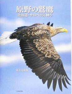 原野の鷲鷹 北海道・サロベツに舞う／富士元寿彦(著者)