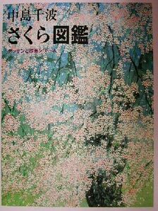 中島千波　さくら図鑑 デッサンと作品シリーズデッサンと作品シリーズ／中島千波(著者),中島美子