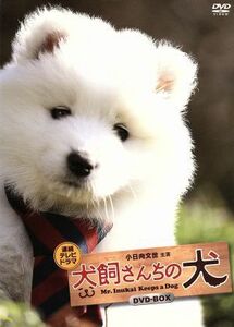 犬飼さんちの犬　ＤＶＤ－ＢＯＸ／小日向文世,ちはる,徳永えり,野中“まさ”雄一（音楽）,吉田聡史（原作（原案））,各務慎一（原作（著）