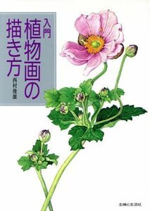 入門　植物画の描き方／西村俊雄【著】