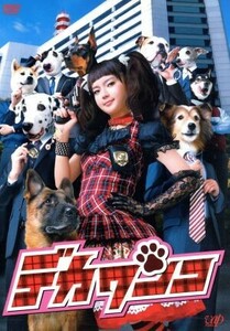 デカワンコ　ＤＶＤ－ＢＯＸ／多部未華子,沢村一樹,手越祐也,森本梢子（原作）,小西康陽（音楽）