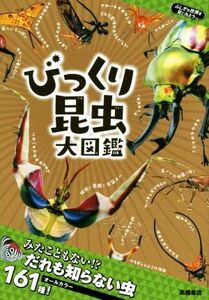 びっくり昆虫大図鑑 ふしぎな世界を見てみよう／須田研司