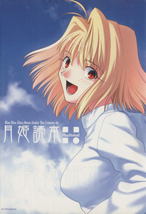 月姫読本　Ｐｌｕｓ　Ｐｅｒｉｏｄ／ＴＹＰＥ－ＭＯＯＮ(著者)