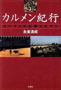 カルメン紀行 スペインの幻想とロマン／永峯清成(著者)