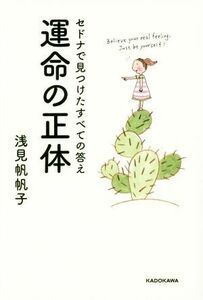 運命の正体 セドナで見つけたすべての答え／浅見帆帆子(著者)