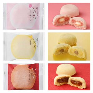 【数量限定】青森名物いのち ラグノオ カスタードケーキ 3種 6個セットの画像2