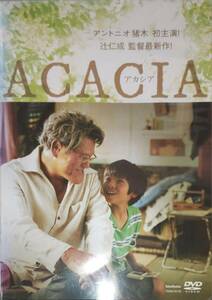 ACACIA アカシア▽レンタル用 DVD