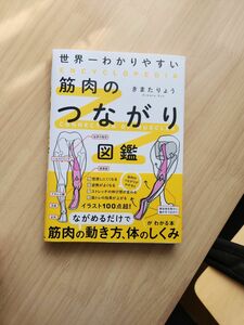 筋肉のつながり図鑑 世界一わかりやすい きまたりょう