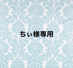 ちぃ様専用様専用