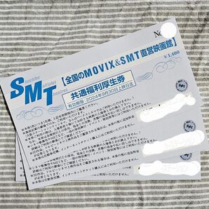 MOVIX & SMT 直営映画館 チケット 3枚