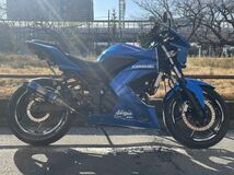 【オリジナルネイキッド仕様】Kawasaki NINJA250R 走行2万/新品前後タイヤ_画像8