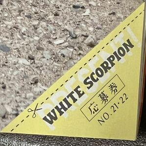 週刊少年マガジン 21・22号 WHITE SCORPION ホワイトスコーピオン  サイン入りチェキ or QUOカード プレゼント 応募券 1枚の画像1