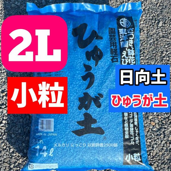 ひゅうが土 小粒 2L 日向土 観葉植物 コーデックス 多肉植物 サボテンa 塊根植物　多肉植物