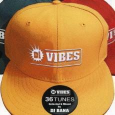 Di VIBES Japanese Reggae Selection 2006 中古 CD