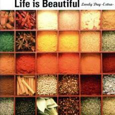 Life is Beautiful Lovely Day Extra ライフ・イズ・ビューティフル ラヴリー・デイ エクストラ 中古 CD