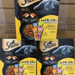 シーバ デュオ 成猫用 厳選お魚とお肉味グルメセレクション 200g（20g×10袋）×3個