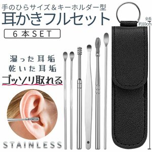 小型 耳かき 6本セット みみかきセット 乾湿対応 耳あかごっそり 専用ケース付き キーホルダー 耳掃除 みみかき 収納付き MOCHIMIMI