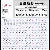 2色セット 88/61/54/49/37鍵盤 キー ピアノシール キーボード ステッカー 音階シール 黒白 カラー 88鍵盤 ピアノ練習用 88PIASTE-SET_画像4