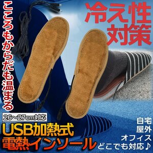 寒い足元に 暖熱 インソール 中敷き 温熱インソール 26-27cm 靴の中やスリッパに つま先 末端冷え 対策 冷え症中敷き 冷え性対策 DANJIKI