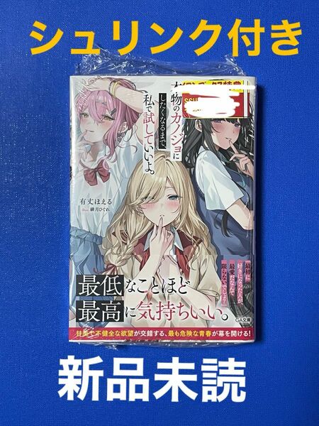 本物のカノジョにしたくなるまで、私で試していいよ。 （ＧＡ文庫　あ－２２－０３） 有丈ほえる／著　シュリンク付き　新品未読