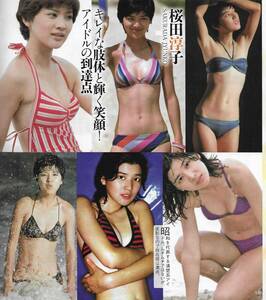 桜田淳子 アグネスラム 鷲尾いさ子 古手川祐子多岐川裕美榊原郁恵水沢アキ山口百恵石田ゆり子岡田奈々かたせ梨乃紺野美沙子 昭和の女神たち