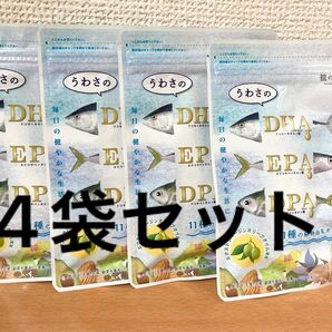 DHA&EPA＋DPA＋植物由来オイル　約1ヶ月分×4袋