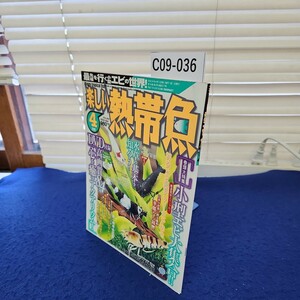 C09-036 楽しい熱帯魚2012年4月号 (株)白夜書房 DVD付録付き