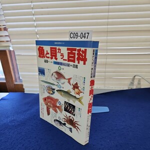 C09-047 魚と貝カラー百科 主婦の友社 付録付き