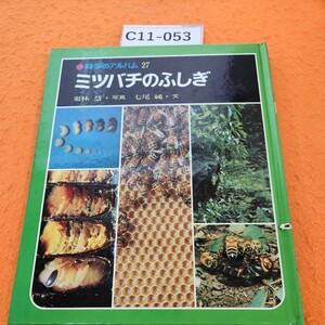 C11-053 科学のアルバム27ミツバチのふしぎ栗林 慧写真 七尾純文