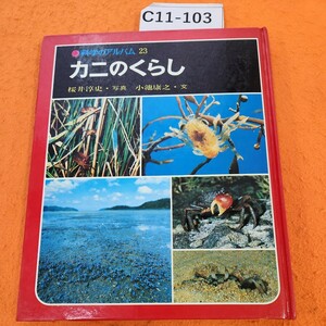 C11-103 科学のアルバム 23カニのくらし桜井淳史、写真小池康之、文
