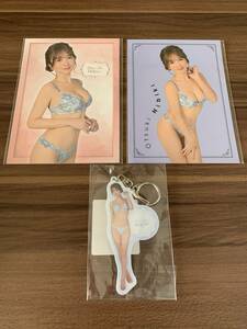  large . crack . acrylic fiber key holder sticker 3 kind set unopened gravure online lot regular goods 1 jpy start ~!!