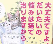 ロイヤルカナン ステアライズド グレービー 猫用 85g×19個　避妊　去勢　用　パウチ　ウェット　キャットフード_画像3