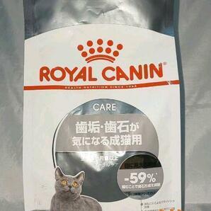 猫まっしぐら ロイヤルカナン 猫  デンタル オーラル ケア用 キャットフード 歯石 歯垢 健康な食事は 健康な歯からの画像1