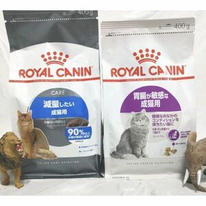 限定 ロイヤルカナン 猫 キャットフード 食が細く痩せ気味 と　減量　したい成猫用　#鍵しっぽネコの森キャットフード