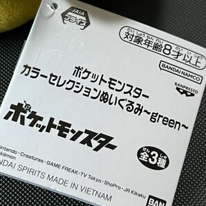 ポケットモンスター ポケモン カラーセレクションぬいぐるみ green ポポッコ 単品の画像4