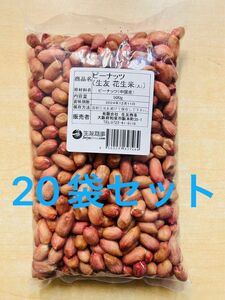 生落花生 花生 花生米 ピーナッツ 大粒 500g x 20袋 セット