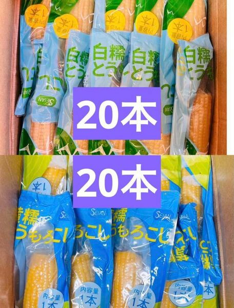 白糯とうもろこし軸付き 粘玉米 白玉米 20本 黄糯とうもろこし もち黄玉米 20本