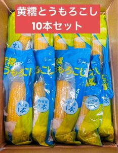 もちもち黄糯玉米 黄糯とうもろこし軸付き 真空パック 黄玉米 黏玉米 10本セット