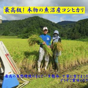 【希少】農家直販!!令和5年産魚沼産コシヒカリ玄米30kg☆食味特A☆!の画像1