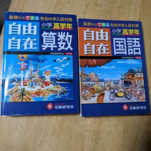 小学生ドリル 本 入試対策高学年向け 算数と国語